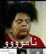 IMG_1006.jpeg IMG_1006.jpeg