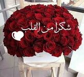 images (2).jpeg images (2).jpeg