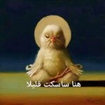 23b5c3ef2cf8db343001f4e87cd27c9a.jpg