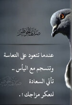 IMG_8911.jpeg IMG_8911.jpeg