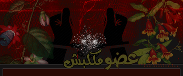 IMG_3960.png IMG_3960.png