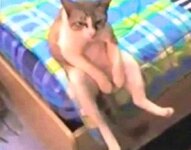 20250719_175311.jpg