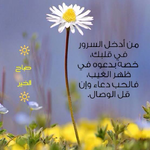 1752940337172.png