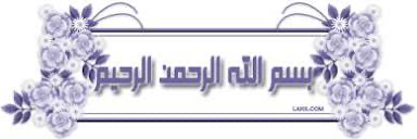 IMG_7439.png IMG_7439.png