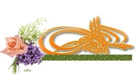 IMG_7465.jpeg IMG_7465.jpeg