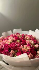 24d7d1b6a7534847a4bb708d96a124cf.jpg