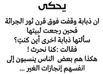 IMG_1862.jpeg