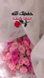 IMG_7643.jpeg