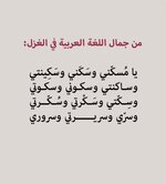 Screenshot_٢٠٢٥٠٨٠٥_١٨٣٥٤٦_com_instagram_android_InstagramMainActivity_edit_1088176258316921.jpg