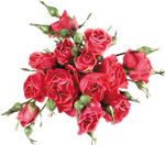 1000126621.png 1000126621.png