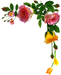 1000126630.png 1000126630.png