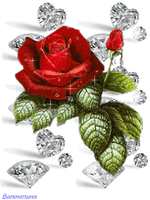 IMG_7809.gif