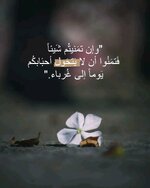 FB_IMG_1755317459341.jpg