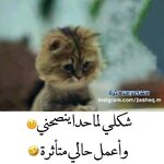 Screenshot_٢٠٢٥٠٨١٨_٢٣٢٥٢٢_Chrome.jpg