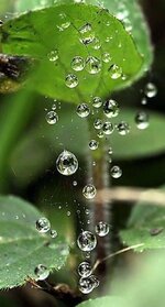 a2927d64abd6b6ca795ea421459d4dfa.jpg