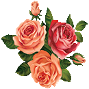 1478.gif 1478.gif