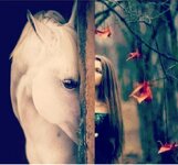 Screenshot_٢٠٢٥٠٩٠٥-٢٠٣٥٣٥_Instagram.jpg