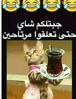 Screenshot_٢٠٢٥٠٨٣١-٠٠٥٢٠١_X.jpg