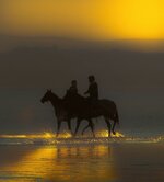 da8a02ef179bab482190bd83ed4faea2 (1).jpg