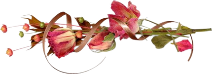 Picsart_25-09-22_15-07-03-597.png Picsart_25-09-22_15-07-03-597.png