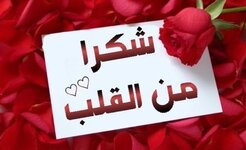 IMG_8222.jpeg IMG_8222.jpeg