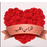 IMG_8223.jpeg IMG_8223.jpeg