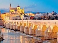 images (15).jpeg images (15).jpeg