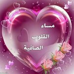 IMG_8277.jpeg