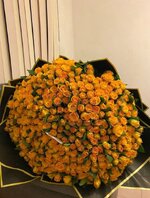 1000013204.jpg 1000013204.jpg