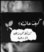 Screenshot_٢٠٢٥١٠١٢-١٥٣٧٢٨_Ultimate Photo Mixer.jpg