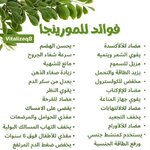 images (37).jpeg