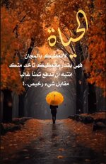 a5112b03ee8193a55c2c5f05616b96d6.jpg