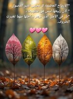 e9eab3b535c3e68f8067a8b9c5f505e3.jpg