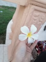 IMG_20251016_171616.jpg