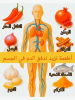 1000149384.jpg 1000149384.jpg