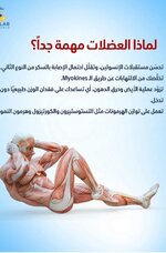 1000149386.jpg 1000149386.jpg