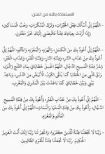 IMG_9655.jpeg