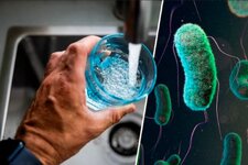 1000152204.jpg 1000152204.jpg