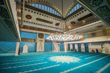 1000152377.jpg 1000152377.jpg