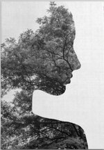 1000035797.jpg 1000035797.jpg