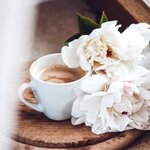 n4eYbm4M_400x400.jpg n4eYbm4M_400x400.jpg