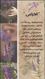 96e15293aa19a44cd5be014e7740a4ad.jpg 96e15293aa19a44cd5be014e7740a4ad.jpg