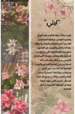 Screenshots_2025-11-15-09-59-43.png Screenshots_2025-11-15-09-59-43.png