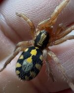 images (4).jpeg images (4).jpeg