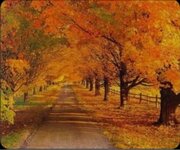 Screenshot_٢٠٢٥١١١٦-٠٢١٢٠٥_Gallery.jpg Screenshot_٢٠٢٥١١١٦-٠٢١٢٠٥_Gallery.jpg