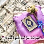 FB_IMG_1763771684710.jpg FB_IMG_1763771684710.jpg