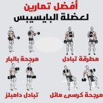 FB_IMG_1643881313669.jpg