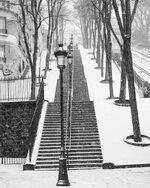 IMG_20251123_165842_608.jpg IMG_20251123_165842_608.jpg