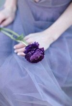 FB_IMG_1764424846998.jpg FB_IMG_1764424846998.jpg