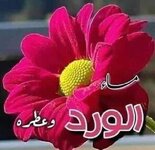 FB_IMG_1764339471318.jpg FB_IMG_1764339471318.jpg